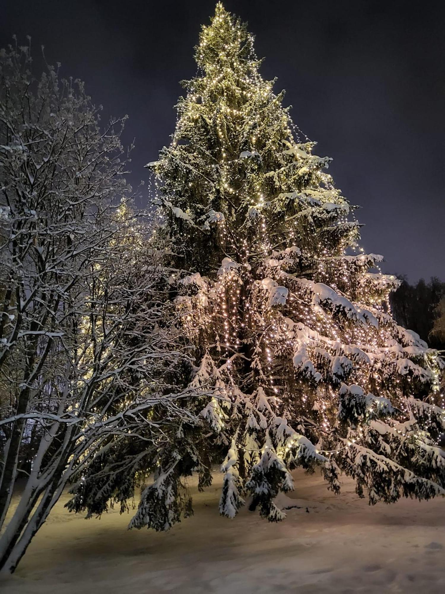 Cozy Arctic Heart Leilighet Rovaniemi Eksteriør bilde